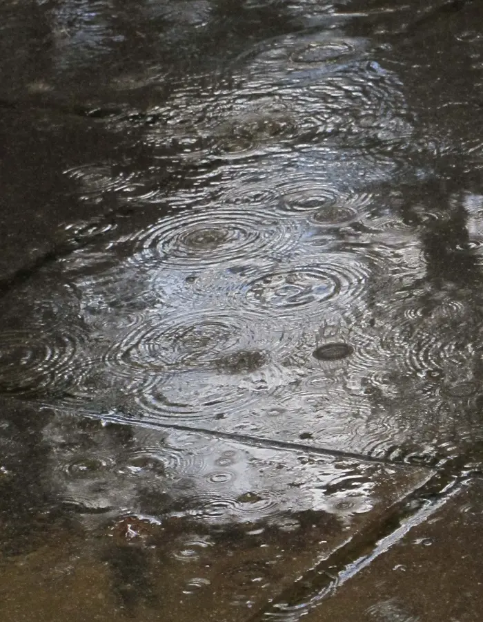 Heavy rain on a sidewalk with poor drainage.