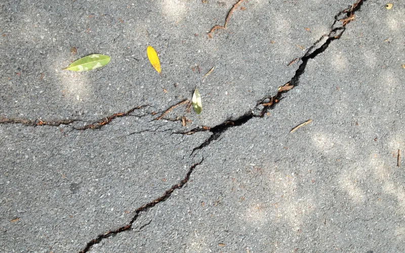 Close up of badly cracked sidewalk.