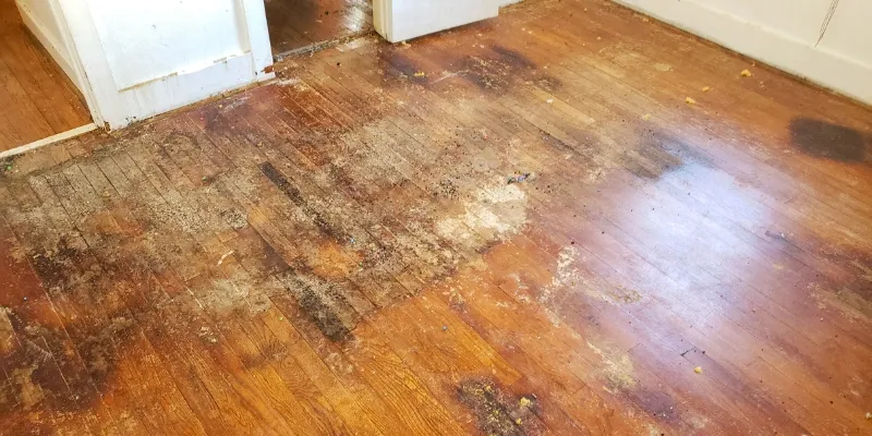 Damaged floors.