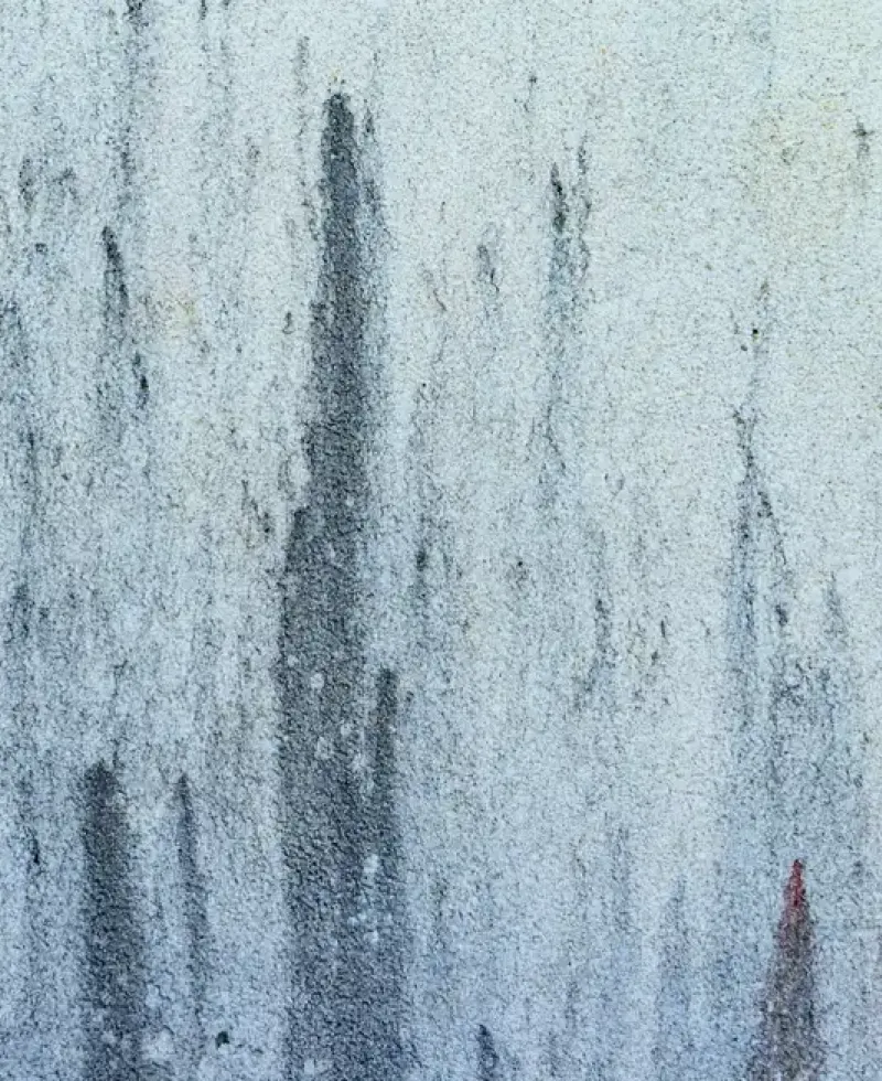 Basement wall showing humidity dammage ad mold.